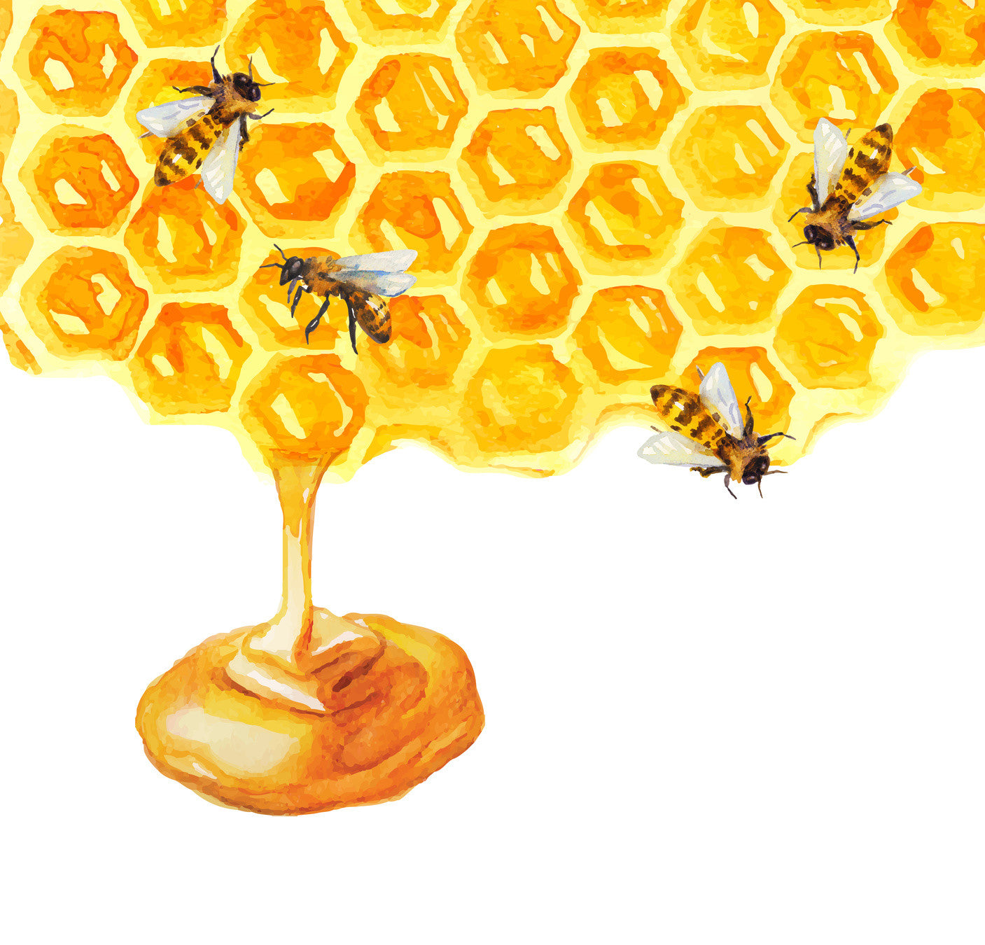 The Benefits of Raw Honey