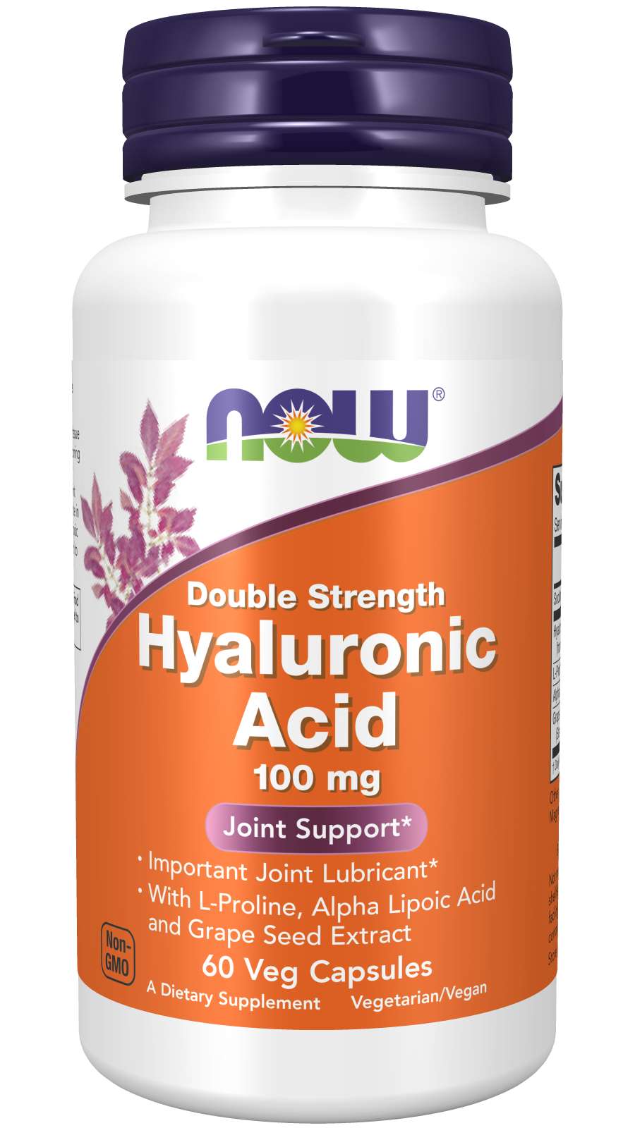 NOW Hyaluronic Acid 100mg 60vcaps