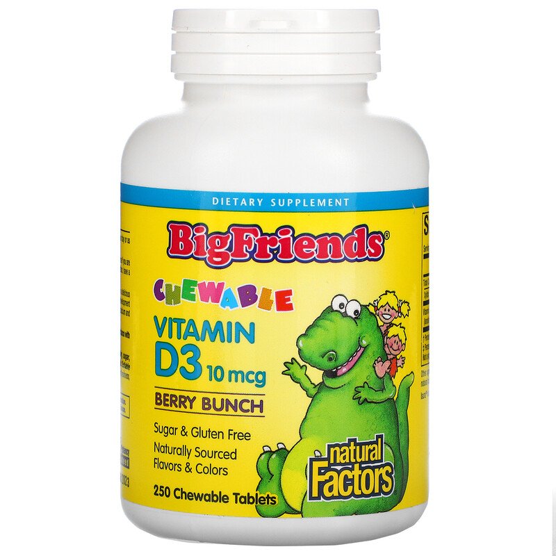 Natural Factors Big Friends Vitamin D 400IU 250chews